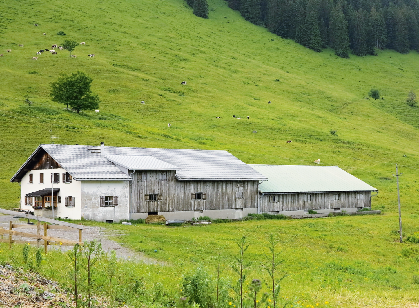 Berggasthof Schuttannen