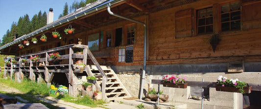 Alp Balisa – Alpbeizli, Aussenansicht