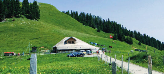 Alp Salzmatt – Alpbeizli, Aussenansicht