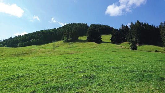 Buvette de la Chia – Alpbeizli, Aussenansicht