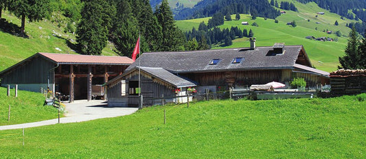 Buvette des Serpenteys – Alpbeizli, Aussenansicht
