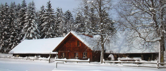 Buvette du Chalet Neuf – Alpbeizli, Aussenansicht