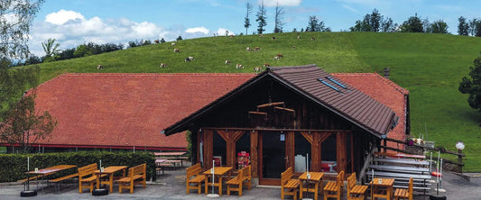 Buvette du Mont-Cheseau – Alpbeizli, Aussenansicht