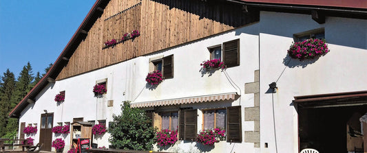 Buvette Le Maillard – Alpbeizli, Aussenansicht