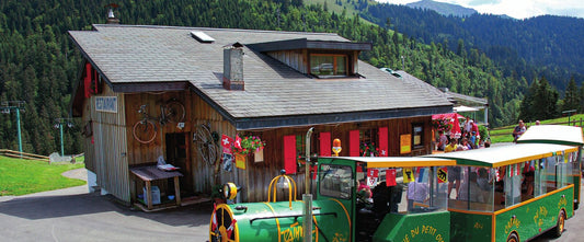 Cabane du Petit Oiseau – Alpbeizli, Aussenansicht