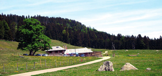 Chalet de La Thiolle – Alpbeizli, Aussenansicht