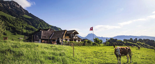 Chez Boudji – Alpbeizli, Aussenansicht