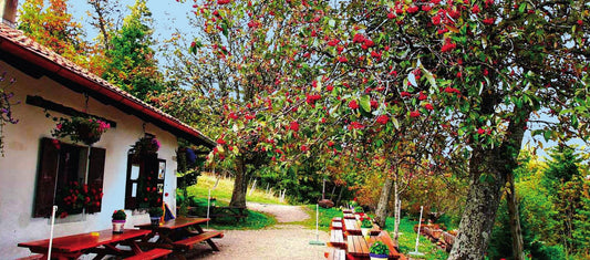 La Fruitière de Bevaix – Alpbeizli, Aussenansicht