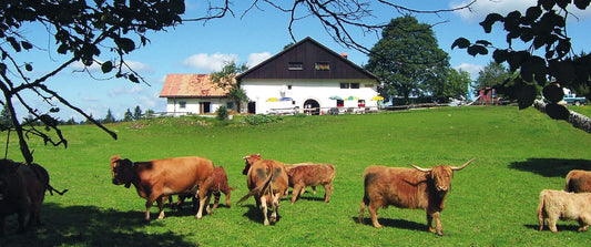 La Gentiane – Alpbeizli, Aussenansicht