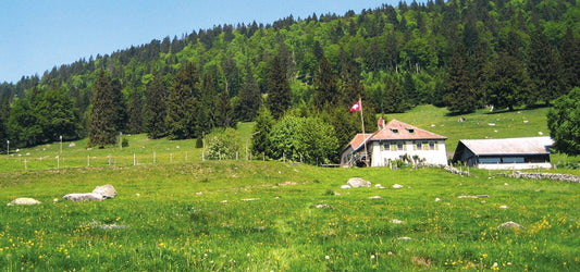 La Mathoulaz – Alpbeizli, Aussenansicht