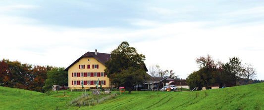 La Pierreberg – Alpbeizli, Aussenansicht