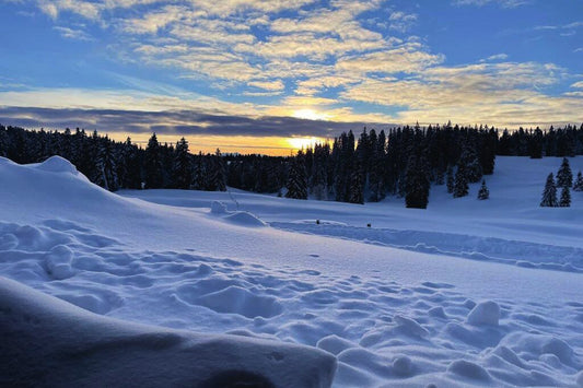 Les Pralets – Alpbeizli, Aussenansicht