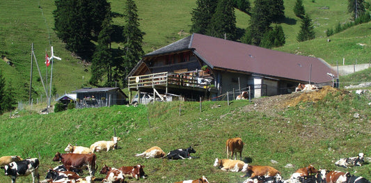 Obere Allmend – Alpbeizli, Aussenansicht