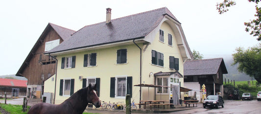 Restaurant Le Violat – Alpbeizli, Aussenansicht