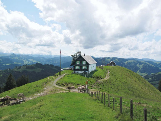 Alp Wildegg
