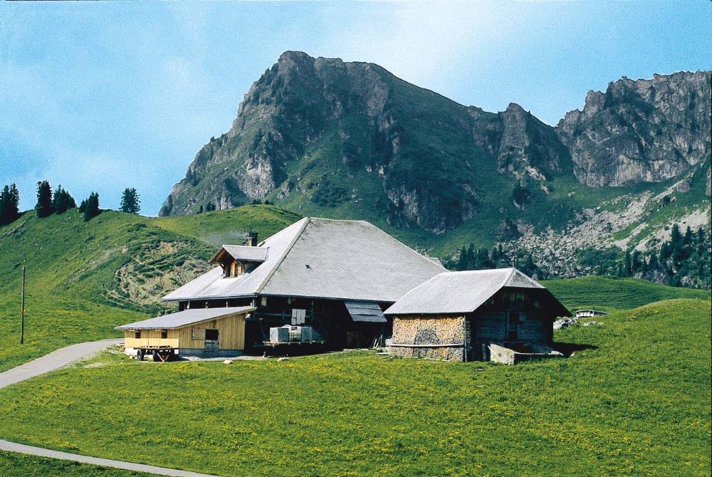 Alp Seeberg