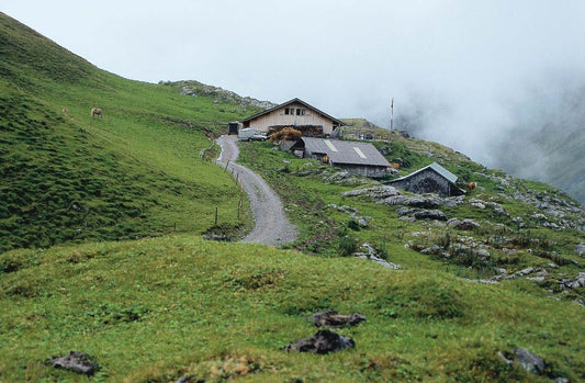 Bättenalp-Fangis